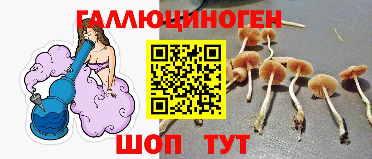 Псилоцибиновые грибы MAGIC MUSHROOMS  Галлюциногенные грибы ЛСД  цены наркотик  Чита  Вход с VPN 